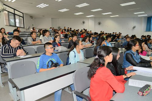 提升服务效能，夯实管理基础——我校多部门联合开展教务代表业务培训