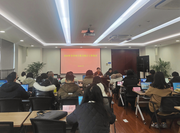 南通举办2024年全市审计机关统计培训